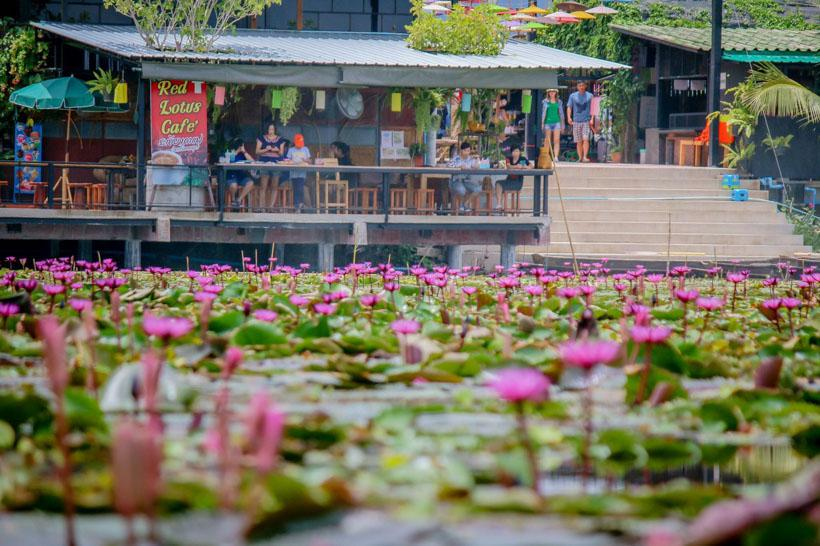 TravelYour_Way's tweet photo. 9 Floating Markets you can’t miss when travelling Bangkok Thailand in 2023
Read here : https://t.co/FXFuoWcIp9
#Thailand #Bangkok #FloatingMarkets #FloatingMarketsBangkok https://t.co/MzYqq3zPhU