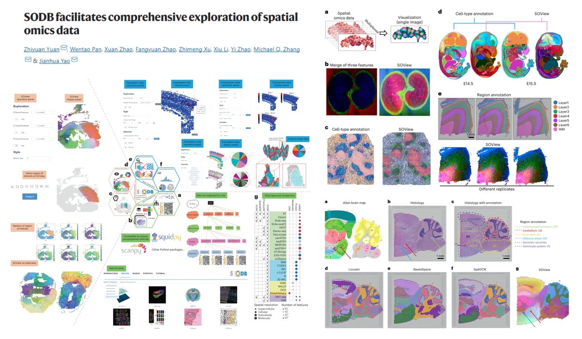 Hao Yin (@haoyin20) on Twitter photo Spatial Omics DataBase
"a web-based platform providing both rich data resources & a suite of interactive data analytical modules" for >2700 #SpatialOmics Exps
26 spatial omics techniques
TencentAI🐧<a href="/naturemethods/">Nature Methods</a> 2023
nature.com/articles/s4159…
website:
gene.ai.tencent.com/SpatialOmics/ Spatial Omics DataBase
"a web-based platform providing both rich data resources & a suite of interactive data analytical modules" for >2700 #SpatialOmics Exps
26 spatial omics techniques
TencentAI🐧<a href="/naturemethods/">Nature Methods</a> 2023
nature.com/articles/s4159…
website:
gene.ai.tencent.com/SpatialOmics/
