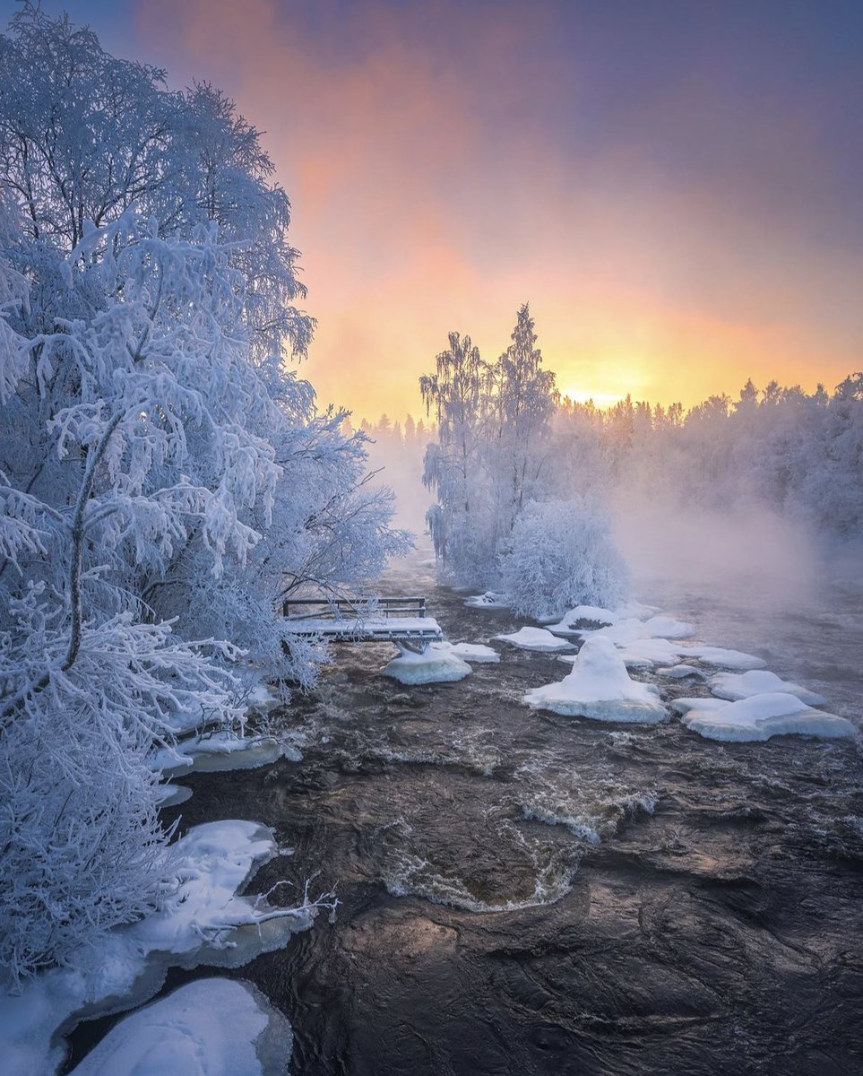 earthcurated's tweet photo. At the break of dawn, Finland 🇫🇮 https://t.co/G5239T6WQY