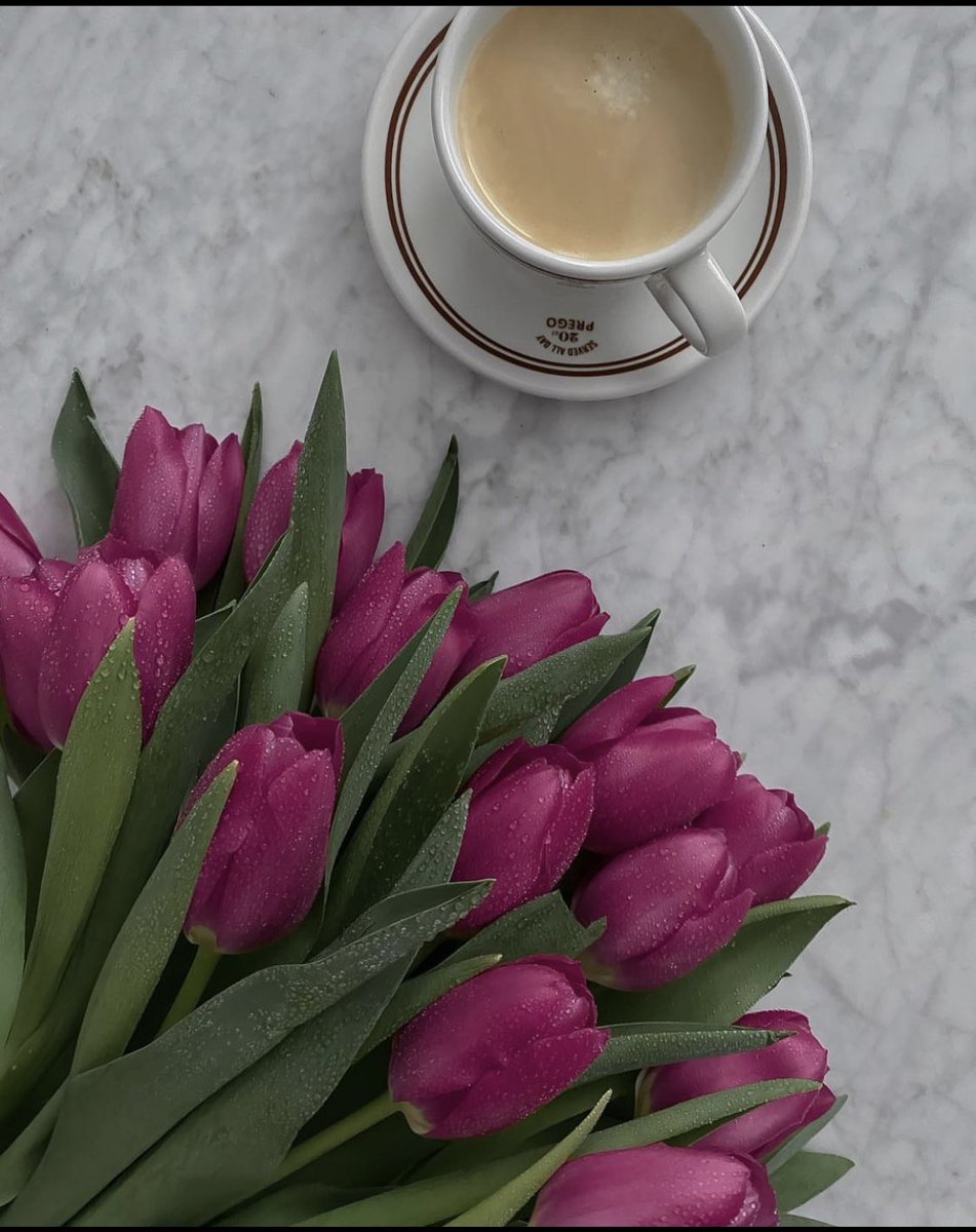 untitledallure's tweet image. fresh tulips 🌷