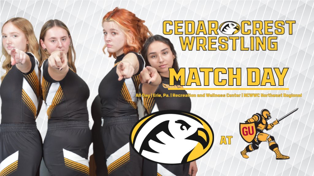 Cedar Crest College Falcons tweet media