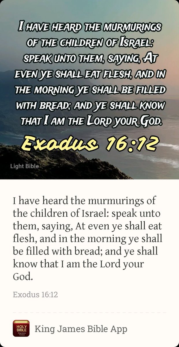 _RoyaltyMindset's tweet photo. #scripture https://t.co/oQTrCuGTcS
