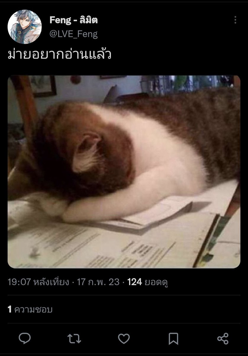 LEV_Yxdaxy's tweet photo. ไม่เหมือนกันตรงไหน https://t.co/PAlOhLWZLJ