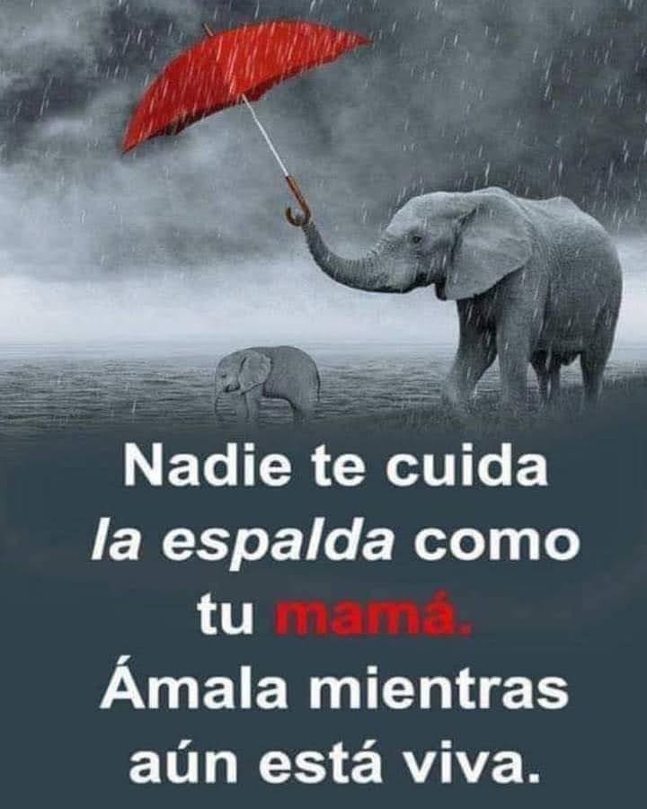 VidaEquilibrada (@vidaequilibrad4) on Twitter photo 