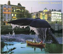 mickmahon13's tweet photo. There’s a wonderful documentary on @NetflixUK about the Irish photomontage and collage artist Seán Hillen. Tomorrow Is Saturday, directed by Gillian Marsh and Gretta Ohle, produced by @tucksm #TomorrowIsSaturday https://t.co/rVb5aegyCs
