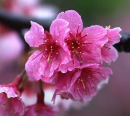 Have a good day everywhere you are