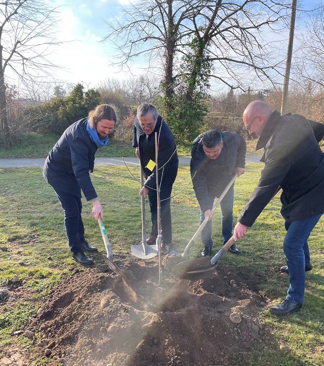 C_Riquet's tweet photo. 🌳 #Plan100000Arbres🌳

👉Belle coopération entre les jardiniers de @Toulouse et les personnels #Enedis au parc de la Mounède

🌳800 plantations dont 175 fruitiers et plants d’arbres pour conforter l’effet puits de fraîcheur et la biodiversité🌿 https://t.co/HLNLE33lyH