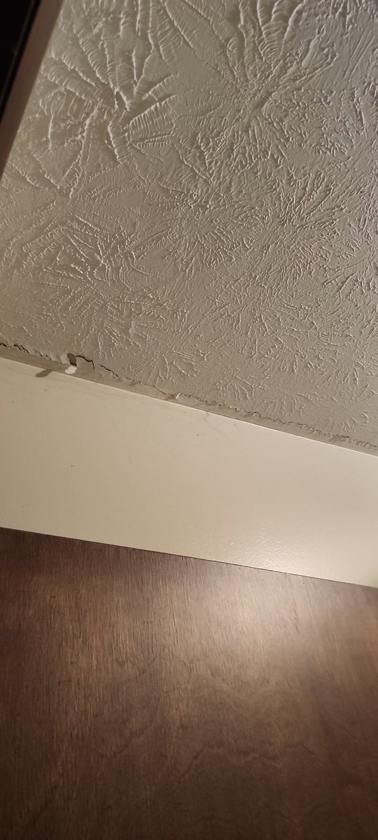 Anton /the Mutt Man cometh/ Nonymous tweet media