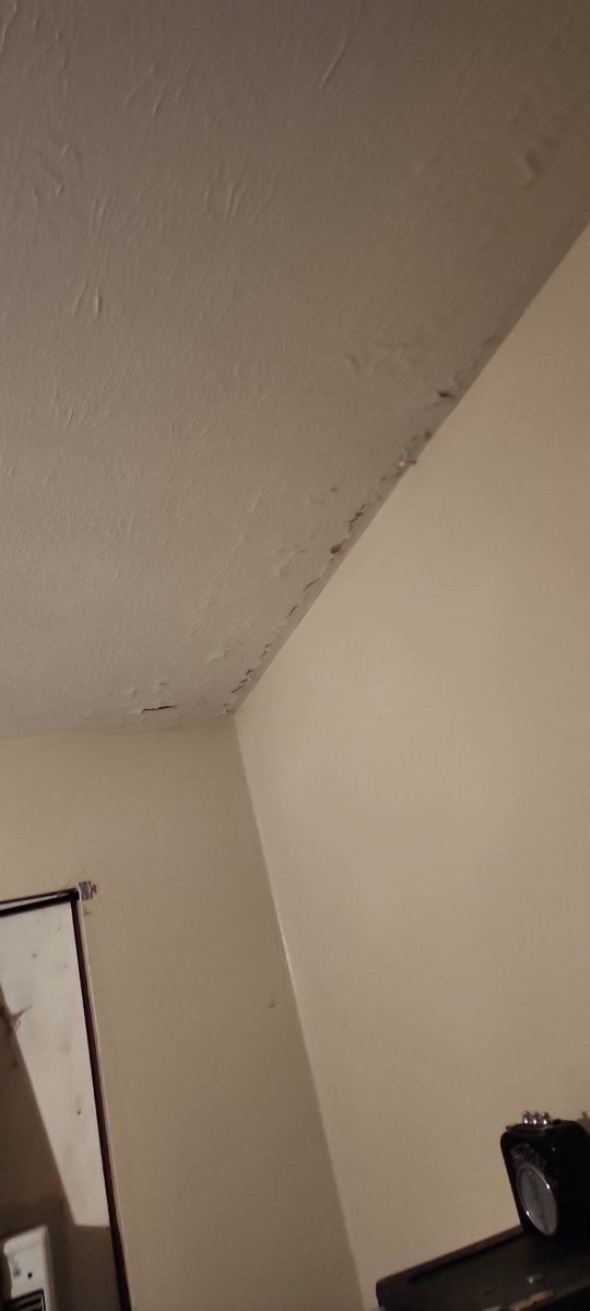 Anton /the Mutt Man cometh/ Nonymous tweet media