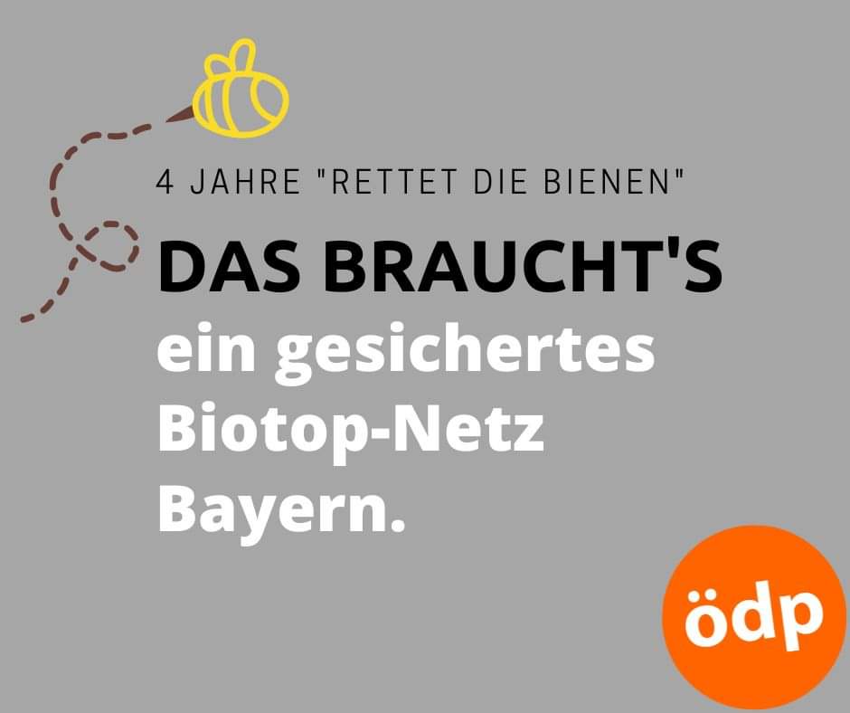 oedpbayern's tweet photo. In futterarmen Zeiten brauchen Insekten ein großes Gebiet zur Nahrungssuche. Echte Biotop-Netze sind notwendig. Das wäre auch schön fürs Auge. Bayerns Staatsregierung hat hier noch viel zu tun, u.a. mit ausreichend Personal für die unteren Naturschutzbehörden.
#ÖDP #orangeaktiv https://t.co/xnlwmoBRIF