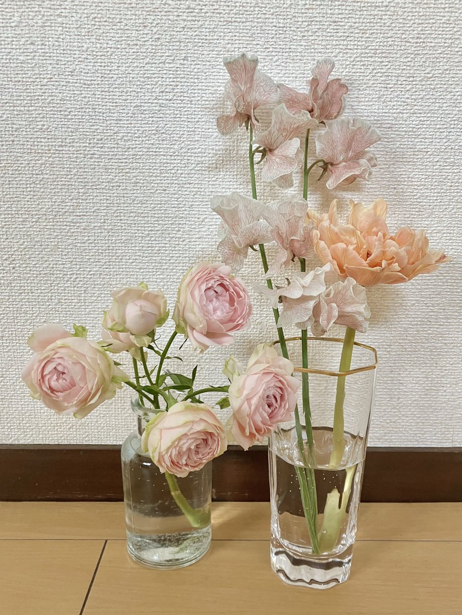 「一昨日久々にお花をお迎え春っぽい!ピンクに青い筋?模様の不思議なスイトピーちゃん」|Sib(じぶ)のイラスト