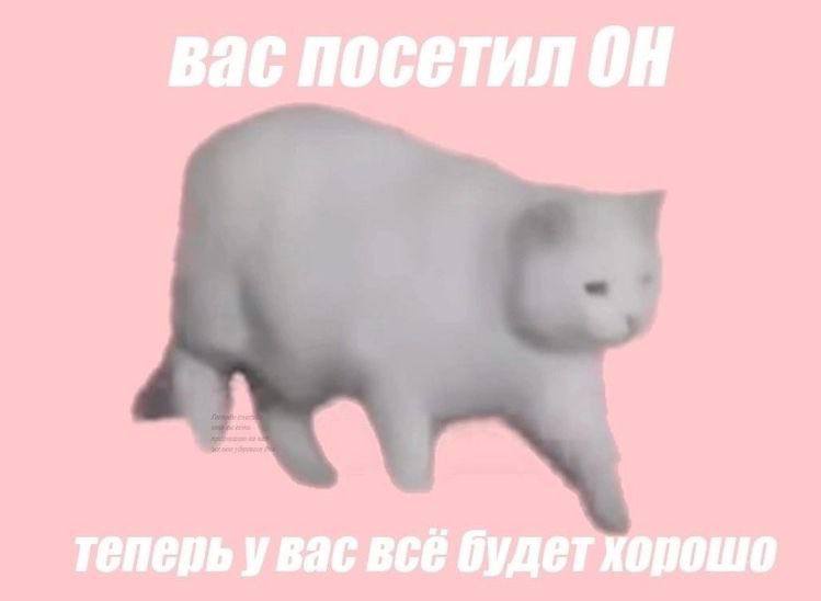 ksuunja's tweet photo. Пусть тут потопчется https://t.co/jhEOk0nSW1