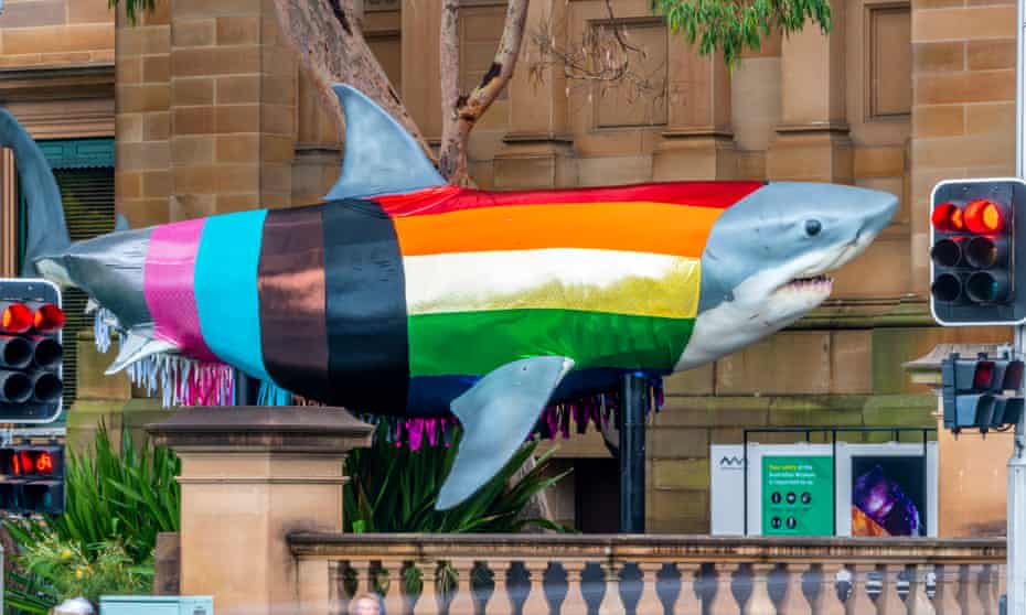BrianFredAuthor's tweet photo. Meet the Progress Shark at the Australian Museum in Sydney and 🌈💜the icon of World Pride💐🌻🤗. In my head... 🎶Progess Shark! Sharky, sharky shark. Progress Shark! Sharky sharky shark. Progress Shark! 🎶 Love 💜 🏳️🌈 😊
#worldpride2023 #sydney #progressshark #WritingCommunity https://t.co/fK7mVO7Or4