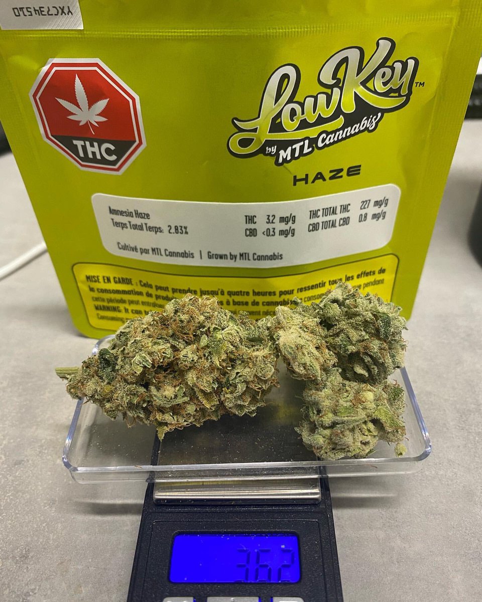 Picked up from Fika Oshawa!

Haze by Lowkey
Just labelled as “Haze”, and the lineage is vaguely 
#strainreview #lowkeyhaze #mtlhaze #amnesiahaze #oshawa #whitby #durhamregion #toronto #lowkeymtl #mtlweed #mtlfood #mtlcannabis #mtl420 #mtlmmj #mtldabber #cbdmtl #sioux #fourtwenty