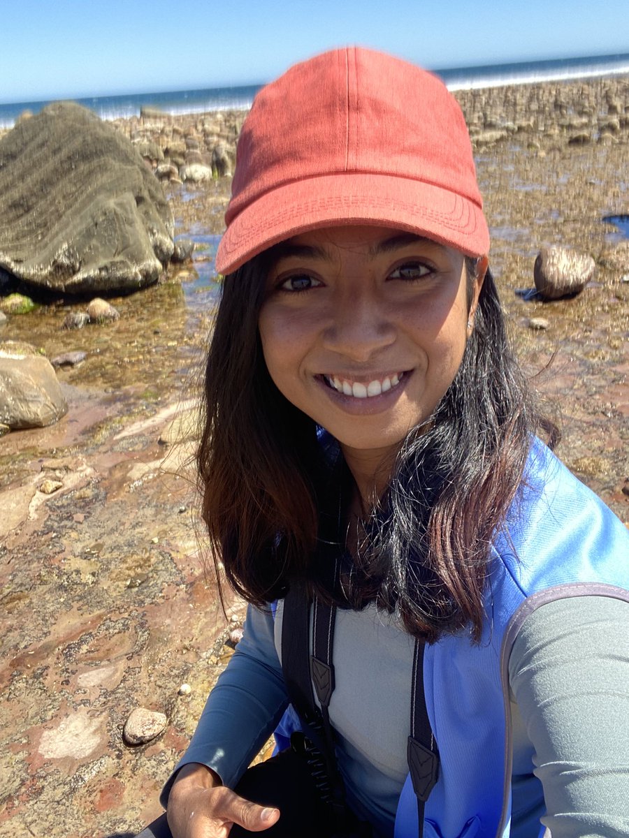 Janice_Vaz_'s tweet photo. I can’t believe I saw these while Rock-pooling today!
#blueringedoctopus #anemone #chiton #seatosource @CityofMarion @CVAustralia https://t.co/j5eZOnlOHc