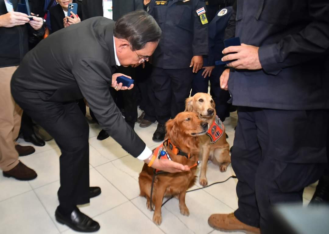 ใครถ่ายรูปนี้กรุณาติดต่อกลับ ต้องการเลี้ยงข้าว