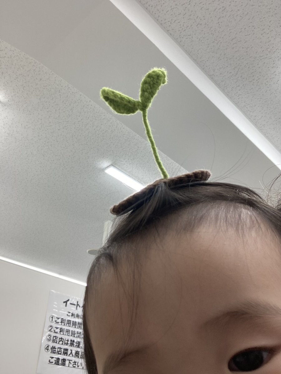 heera485's tweet photo. 一歳目前

自我の芽生え🌱 https://t.co/bHLpudOD6A