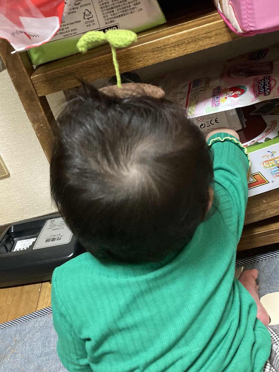 heera485's tweet photo. 一歳目前

自我の芽生え🌱 https://t.co/bHLpudOD6A