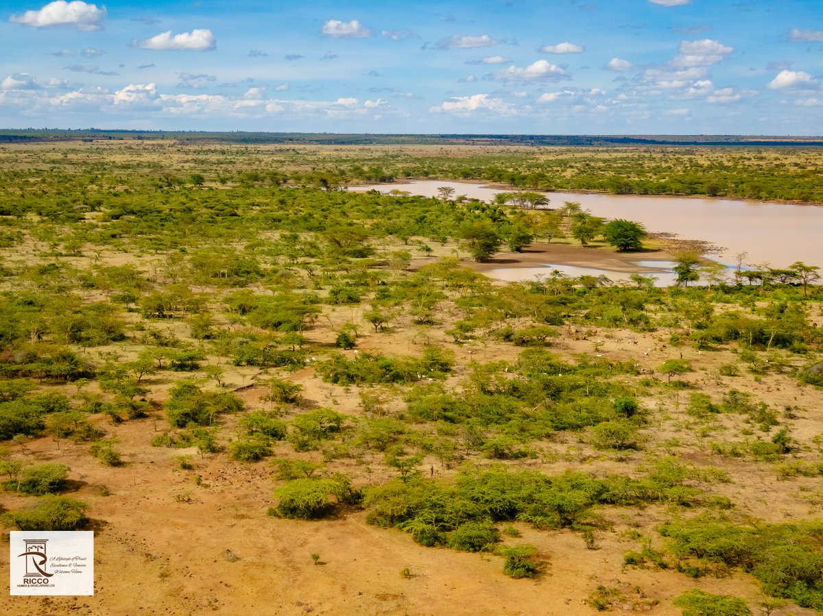 RiccoHomes's tweet photo. #landforsale💰 with grafted avocado seedlings in RUMURUTI 

Ideal for farming with Water source next to it
KES 399,000 per acre inclusive ;
 ✔️Drip irrigation system 
 ✔️120 well hardened grafted hass avocado 🥑 seedlings
 ✔️Ready export ✈️ market
#riccohomes
#plots
#farmingland https://t.co/N1D7sMne4L