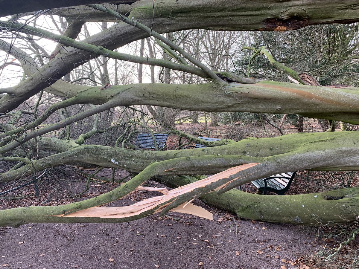 Otto had quite a night in Malmö