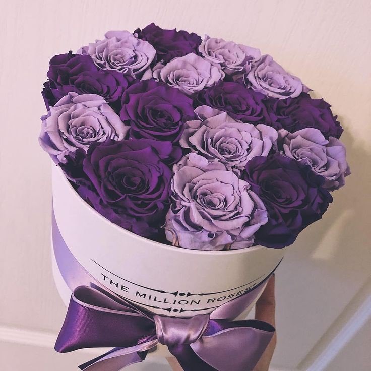 defnebisusya's tweet photo. Mor güller ve mor lotus setimiz 💜 https://t.co/DR82M5zBfJ