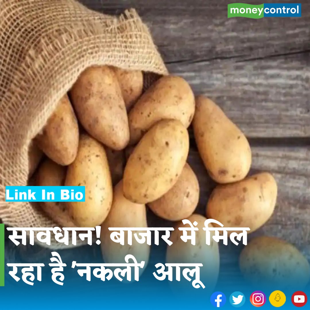 MoneycontrolH's tweet photo. #fakepotatoes - देश में कई किस्म के आलू बिकते हैं. ज्यादातर ग्राहकों को इनकी किस्म के बारे में पता नहीं होता. यही कारण है कि कुछ बेईमान ट्रेडर्स हेमांगिनी आलू को चंद्रमुखी आलू के समान कीमतों पर बाजार में बेच रहे हैं...
👇
https://t.co/kIaVnstNew
.
.
.
.
#potatoes #agriculture https://t.co/zQJ9n0s0ar