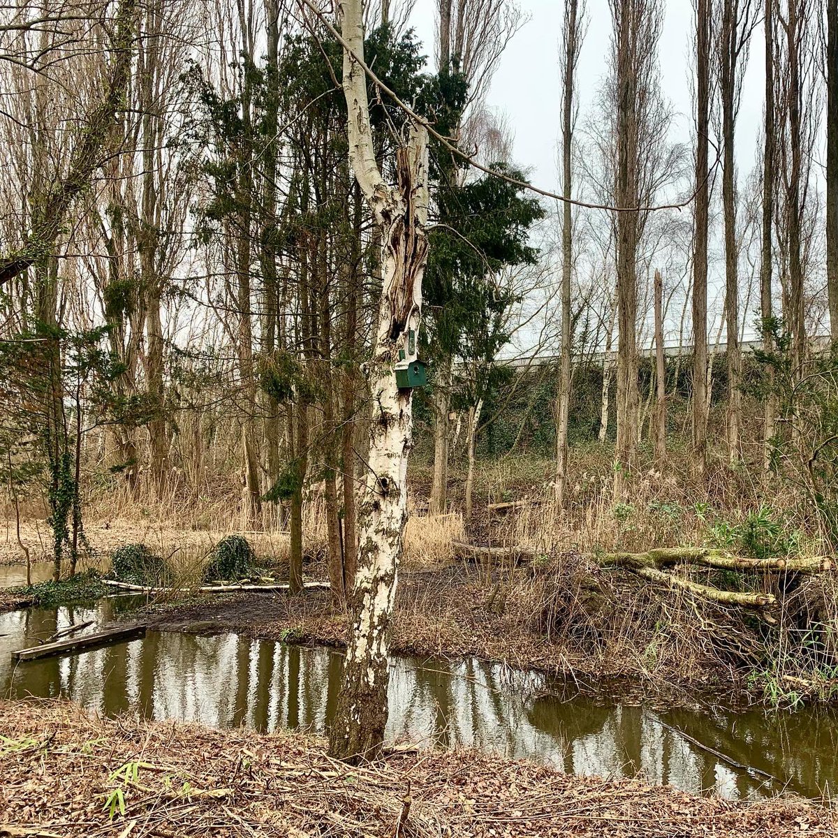 Rotterdams WeerWoord tweet media