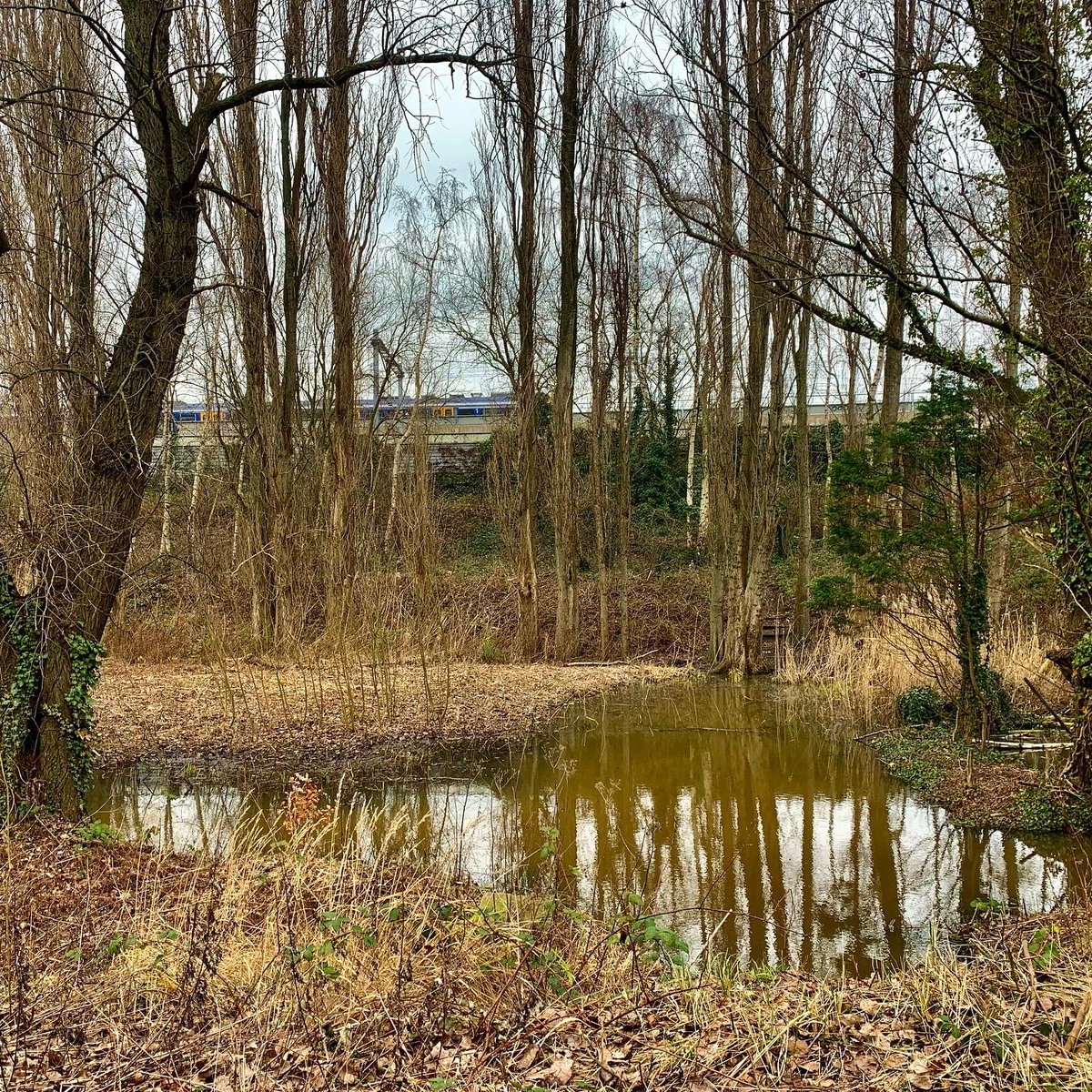 Rotterdams WeerWoord tweet media