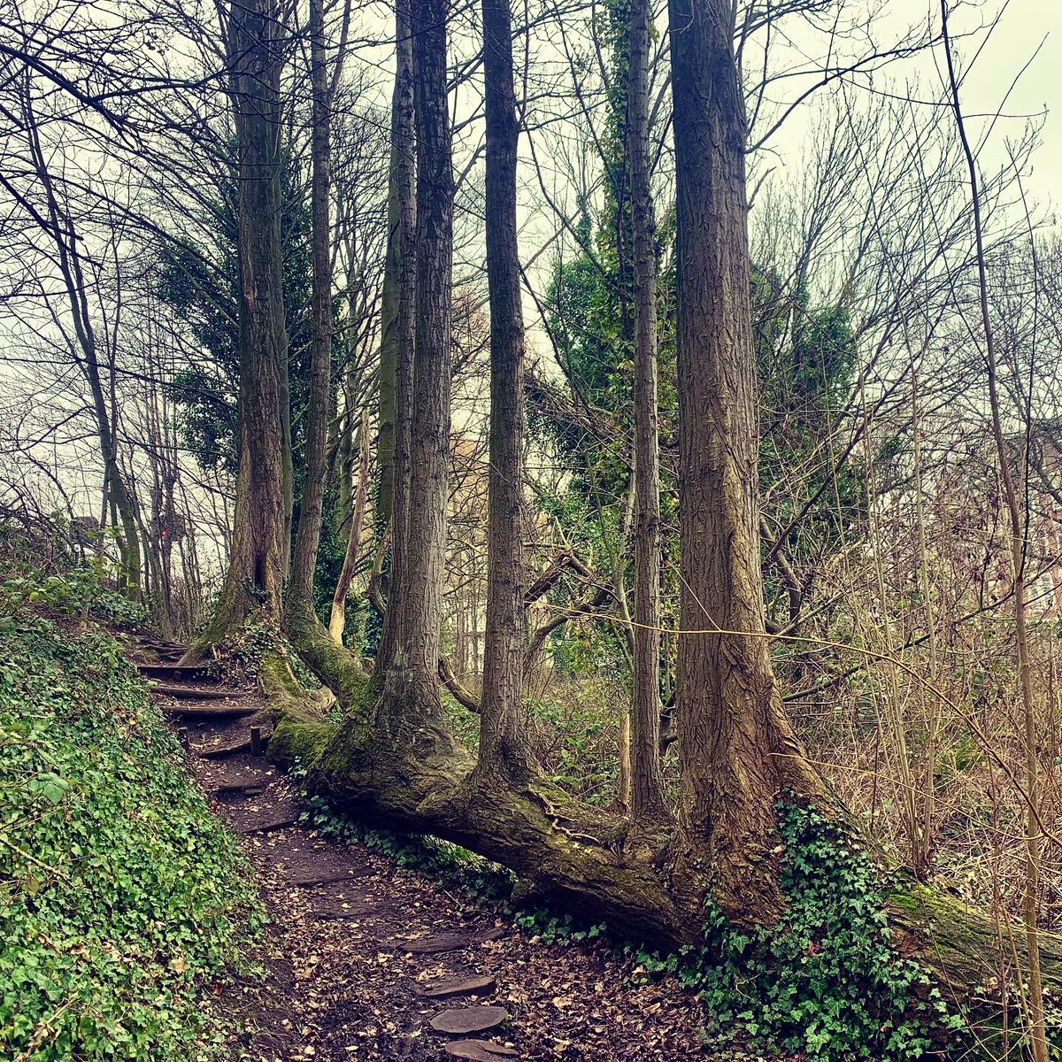 Rotterdams WeerWoord tweet media