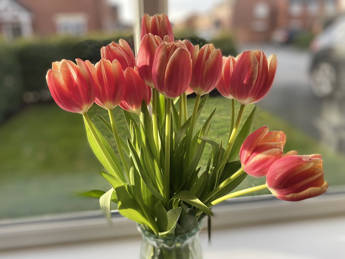 realnorthernman's tweet image. In our house, we are currently living in a STATE OF EMERGENCY… not good trust me! 🚨 

This is my dad blog- the Dad Influence 

Click thedadinfluence.blogspot.com/2023/02/living…

#parentingtips #parentingblog #dadblog #parentingblogger #parenting #blog #blogger #blogging 

Here’s some flowers