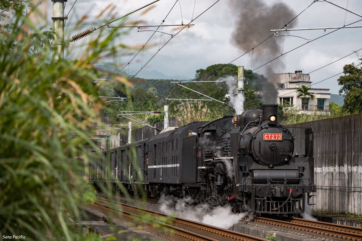 SeanPacific's tweet photo. This is probably the first time that the steam locomotive of the Taiwan Railway Administration has pulled a freight train since it was decommissioned. Thanks to the steam locomotive team for their efforts🥰

#CT273 #C57 #蒸気機関車 #貨物列車 #台湾鉄道 https://t.co/BkEpBdwERc
