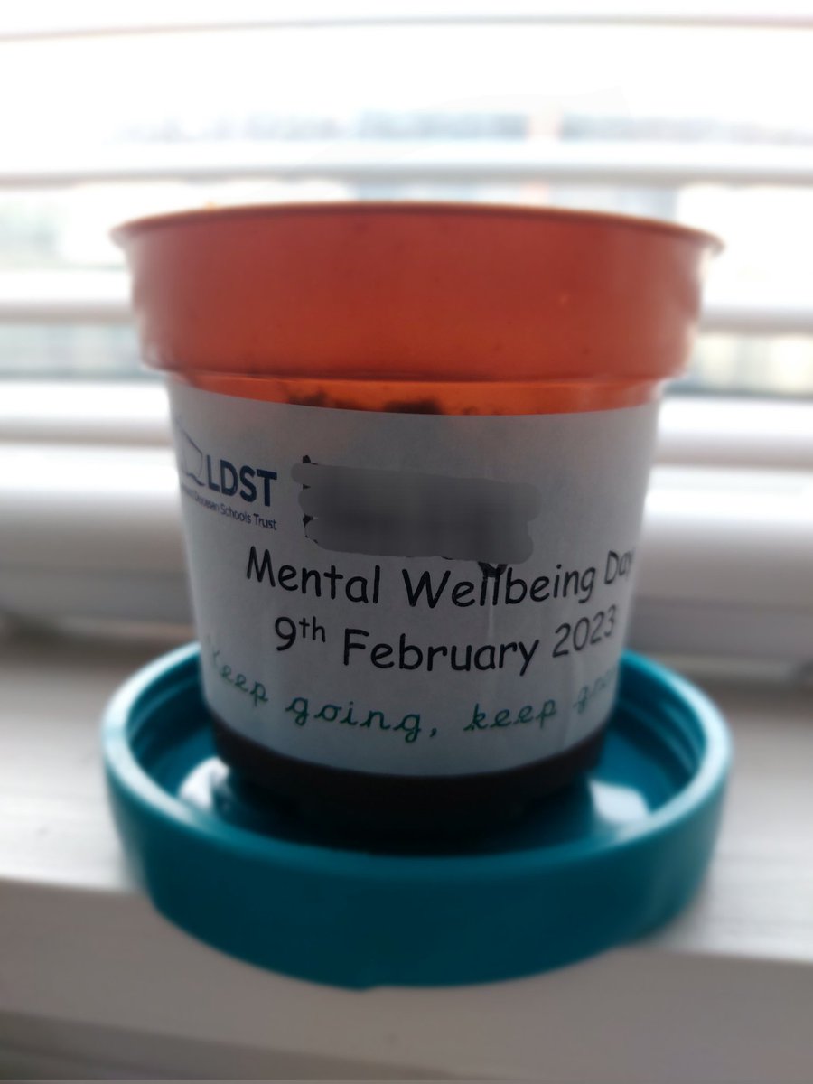 SamBamBradley's tweet photo. @StAndrewsCoE delighted to discover we have seedlings already! Excited to see what they grow into 🌱 https://t.co/RoTGUggSqh