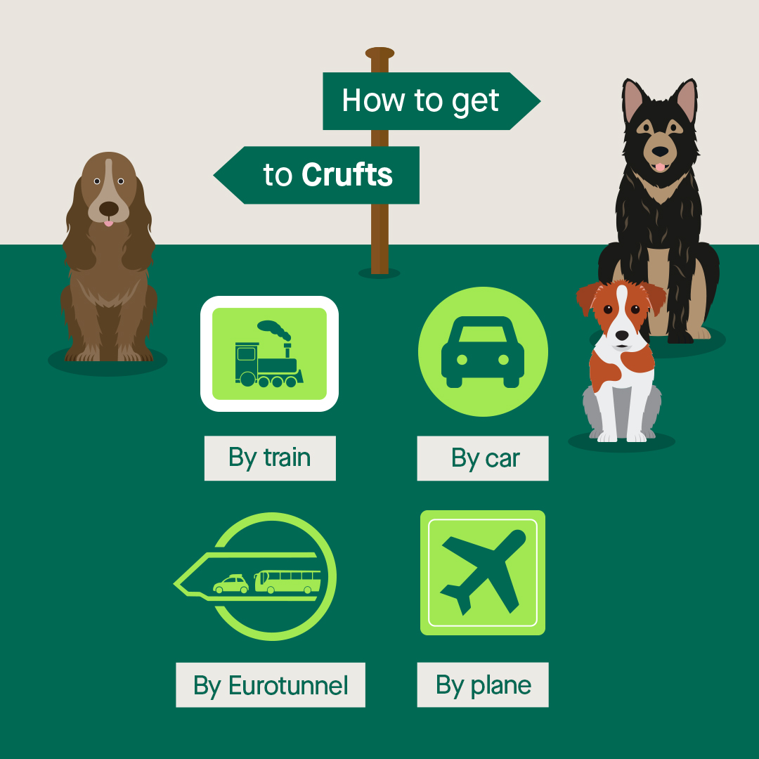Crufts on Twitter "Not sure how you are going to get to Crufts? Have