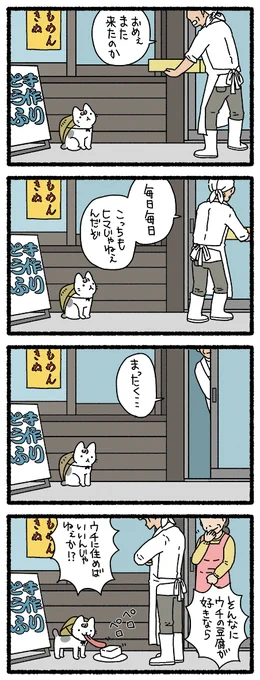 ねこようかい とうふこぞう #ねこようかい 