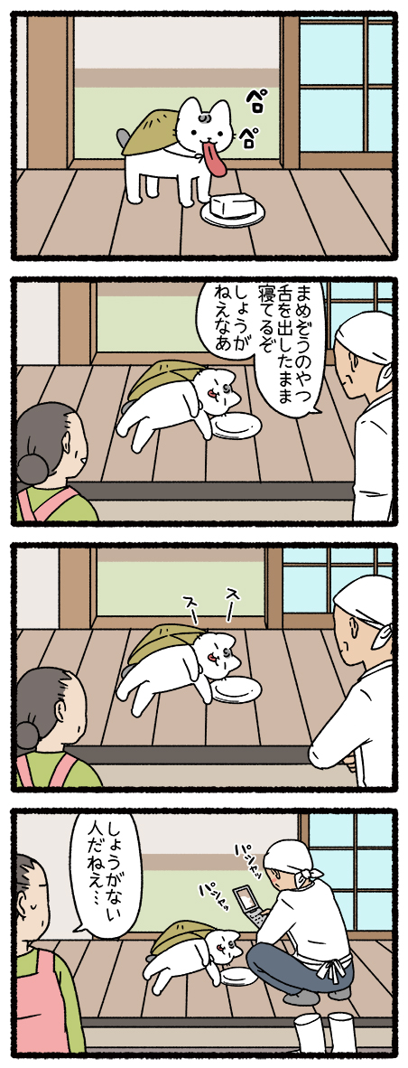 ねこようかい とうふこぞう #ねこようかい 