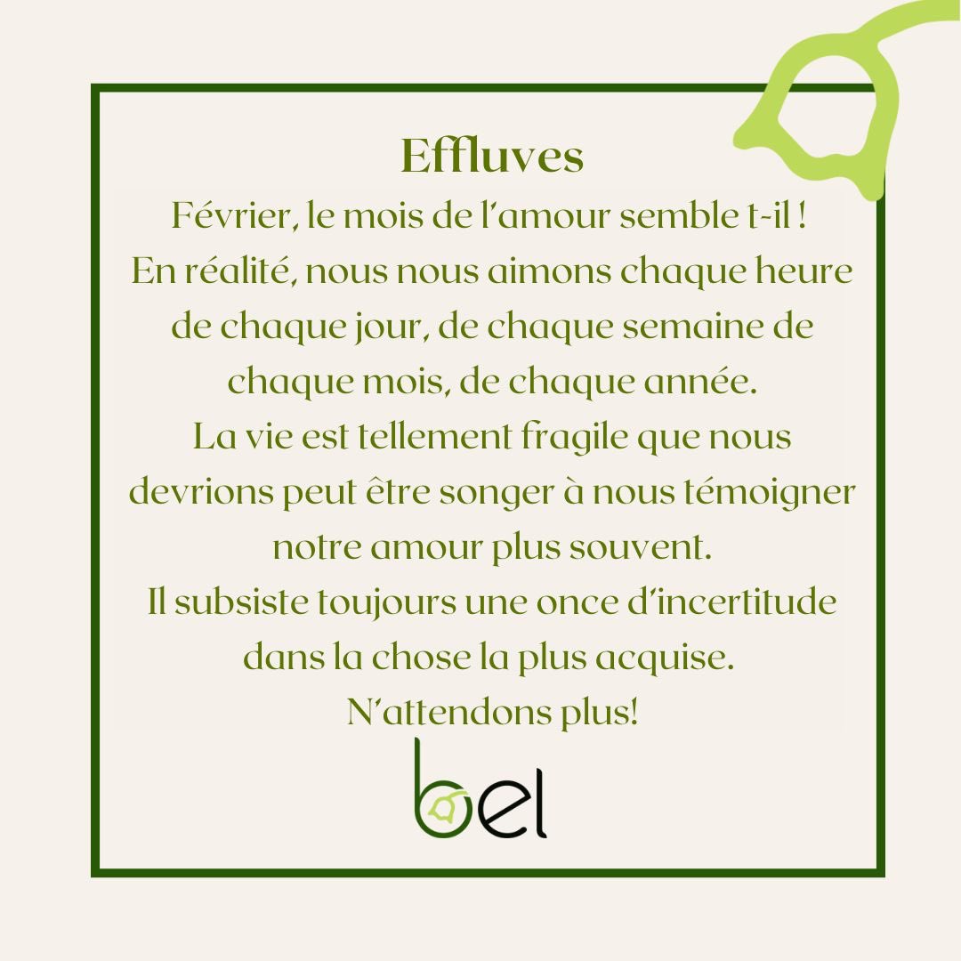 Beladdiction_SN's tweet photo. « Quand les effluves du parfum de votre bien-aimé chatouillent vos narines, celles de l’amour remplissent tout votre être.»

#amour 

#kebetu #Mode #Senegal #Venteenligne #homme #encens #huileparfumée #senteurs #coffret #parfum #desodorisant #spray #woodin #effluves #collection https://t.co/10h6FJQzOd