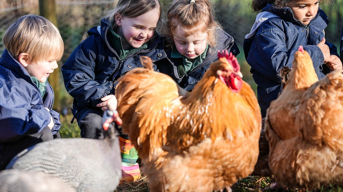 KESPreparatory's tweet photo. Our Nursery children had great fun at Farm School in the sunshine before half term! The children love meeting our chickens and collecting the eggs! 🐤🥚🐓
#farmschool #StroudFarm #StroudAnimals #HampshireSchools #StroudOutdoors #outdoorlearning https://t.co/yOLlxESVpz