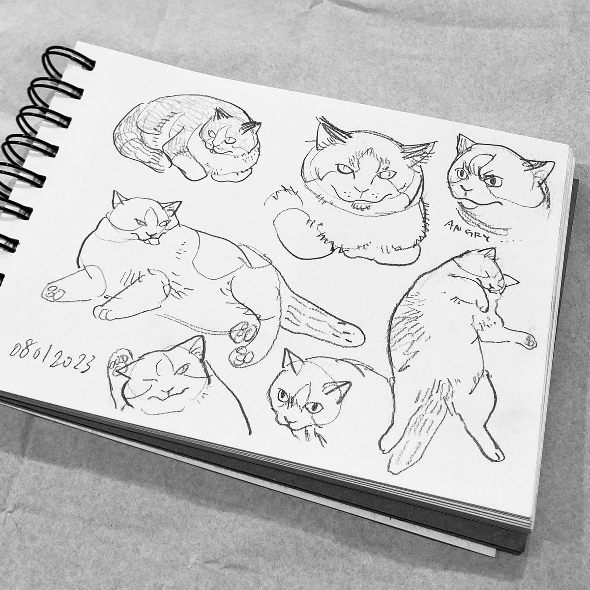 Sketchbook log 