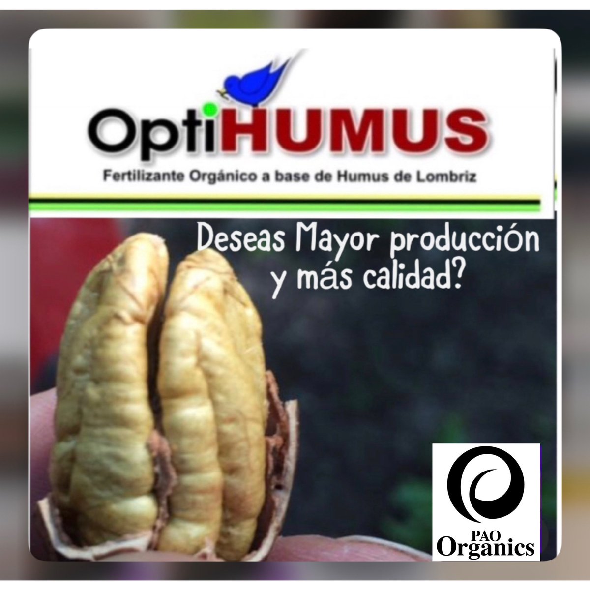 OPTIHUMUS's tweet photo. #Humusdelombriz #fertilizer #sustenrabilidadagricola https://t.co/eqUL4E1TCA