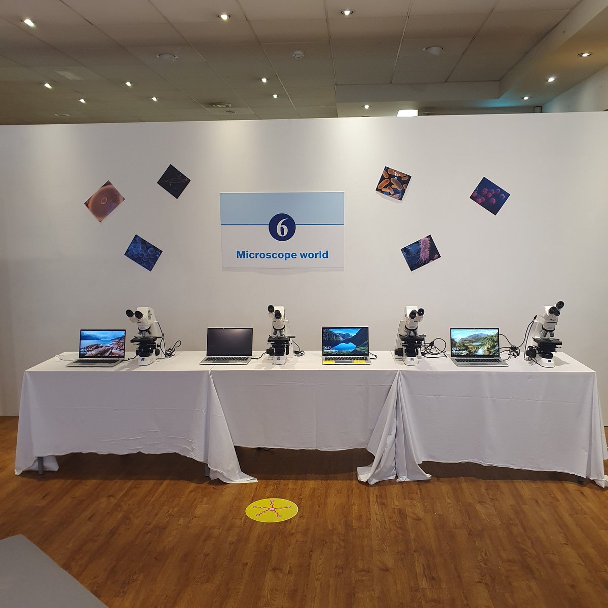 SuperbugsExeter's tweet photo. Finishing touches coming along. Can't wait to see you all today! 10am-4pm @MaketankExeter

@CUsuperbugs 
@UniofExeter 
#AMR https://t.co/3S9d83jTO8