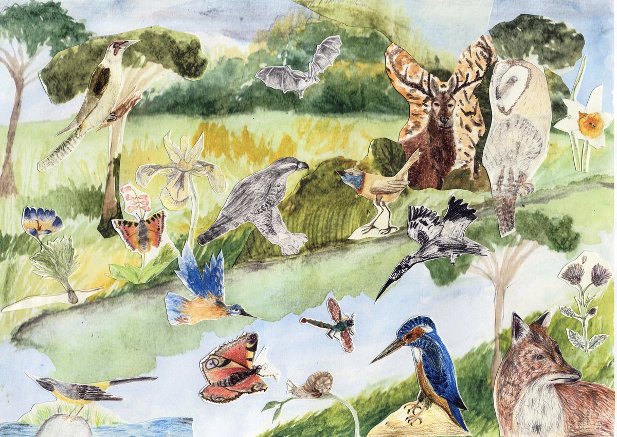 BenjaminFallow's tweet photo. By Benji, painted Age 7 💚
‘This is how a #river can be if people don’t pollute it. Full of #animals, #trees, #flowers and #insects .We’re part of #nature too, and we can’t survive without it.’ ✋Stop polluting our rivers and #seas, with sewage 💔 #saveourrivers @Feargal_Sharkey https://t.co/bGpOseAzN9