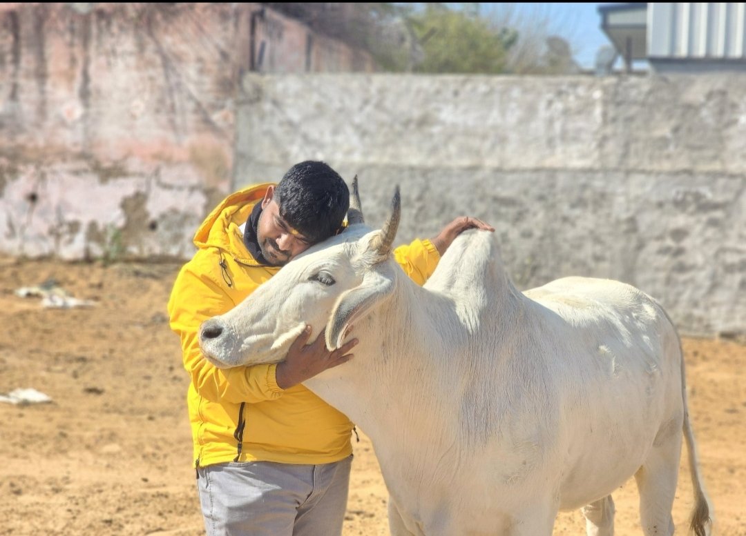 Support मोनू मानेसर.
सही से जांच की जाये | अपना भाई बेकसूर है
<a href="/MonuManesar/">Monu Manesar (सनातनी)</a> 
<a href="/htTweets/">Hindustan Times</a> <a href="/CNNnews18/">News18</a> <a href="/BBCHindi/">BBC News Hindi</a>