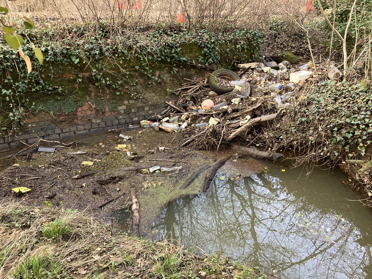 RichardBurt73's tweet photo. Disgusting!!! Don’t build houses then not maintain the surrounding area #bovis #linden #vistry #enviromemtagencie https://t.co/wjog4jtLcd