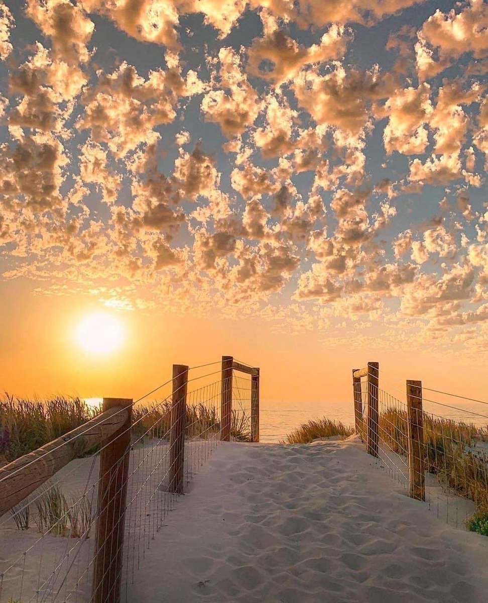 where I’d rather be