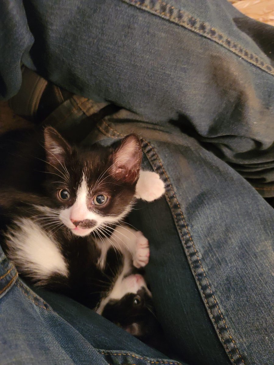 Dahrkmezalf tweet media