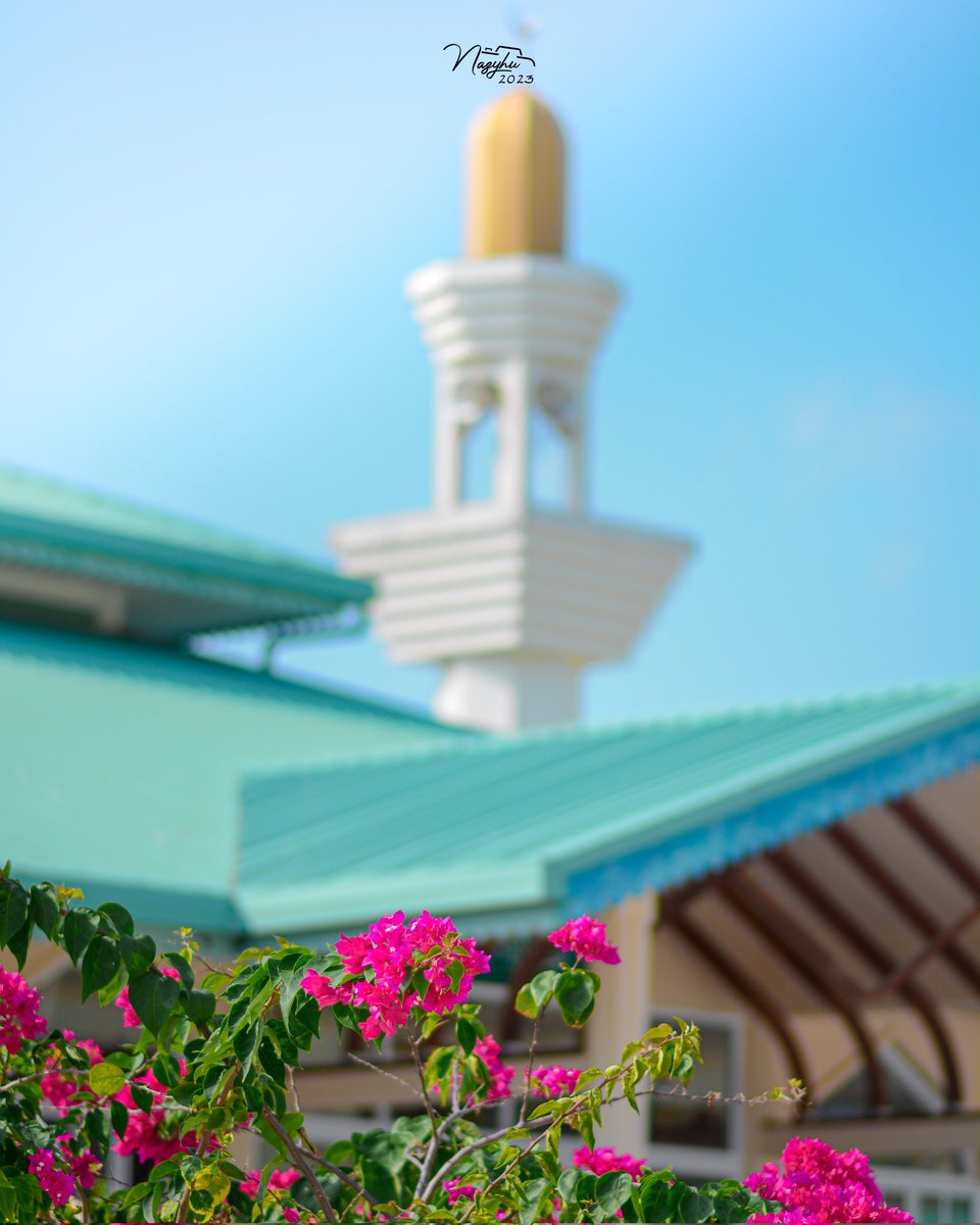Nazyhu21's tweet photo. ބަހާރު މޫސުން ބާރަށަށް!😍

#VisitBaarah #ExploreHaaAlif https://t.co/5kiTKVYpjR