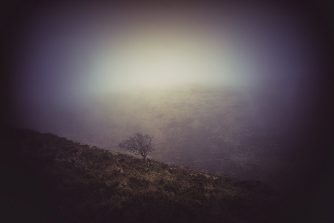 GlavindStrachan's tweet photo. 4 more #random #photographs of #trees on #dartmoor from my #instagram cull 📷 #DartmoorPhotographer #DartmoorPhotography #LandscapePhotography #LoneTrees #DevonPhotographer https://t.co/jfj4nyRrA4