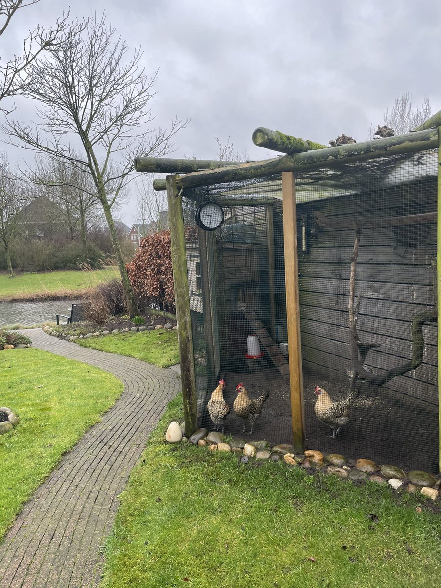 Vriendelijk doch dringend verzoek: onze #kippen zijn regelmatig in #paniek en van de #leg als gevolg van de vele rondzwervende #katten. Ook staat het #broedseizoen voor de deur dus houd uw #kat achter de deur, lekker in huis voor uw eigen genot