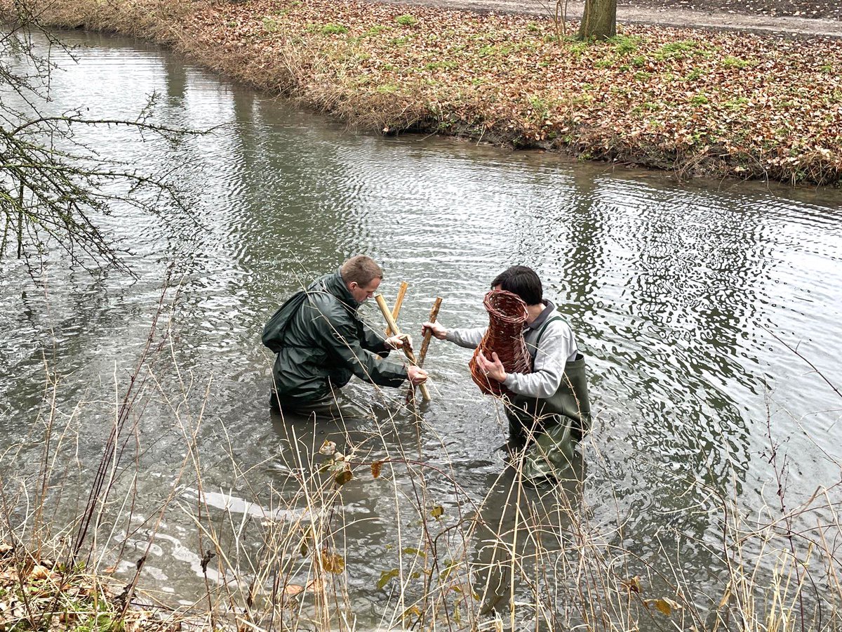 WildBeheerEenhd's tweet photo. En nog meer eendenkorven! Samen met @gemwijkbijduurstede zijn deze vanochtend geplaatst, in aanvulling op de korven van vorig jaar. Onze wildbeheereenheid draagt bij in de kosten. Weer of geen weer: prachtige samenwerking!

#wijkbijduurstede #jagersdoenmeer #fauna #utrecht https://t.co/qipr5KguVV
