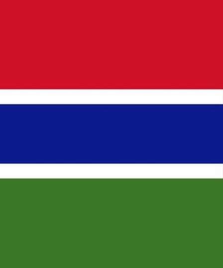 AjiJankey's tweet photo. The Flag.                             The Face. https://t.co/DHpPOT5NqY